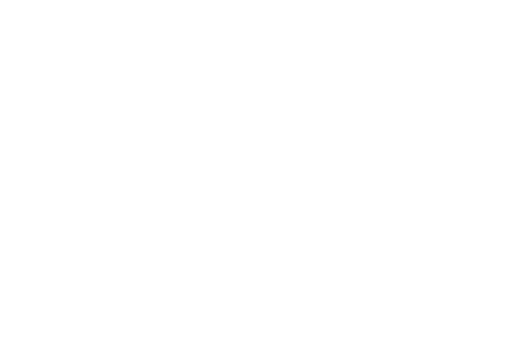 AAI Elite Agency award