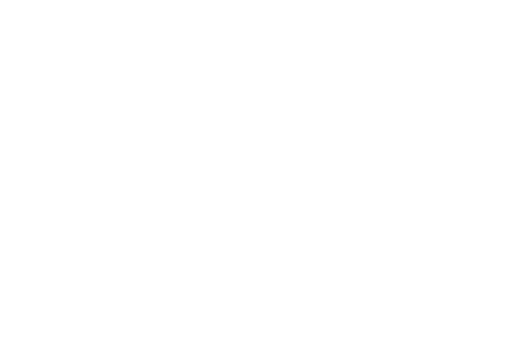 American Family Insurance All Lines Leader award