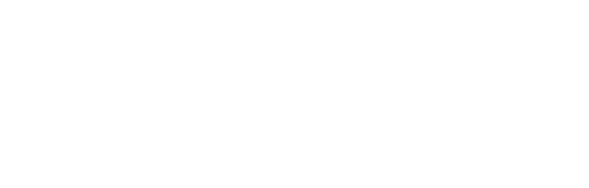 Bizznep